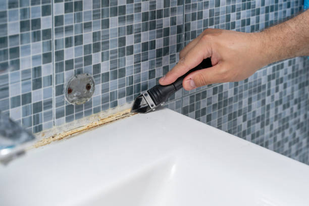 Best Mold Testing and Inspection Services in Robstown, TX